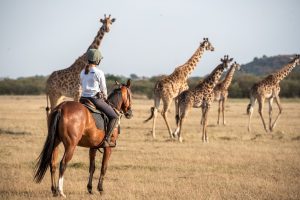 Lewa Conservancy Luxury Safari – 5 Days
