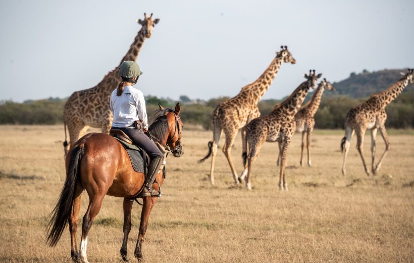 Lewa Conservancy Luxury Safari – 5 Days