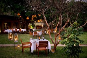 Luxury Bush Wedding Safari in Kenya